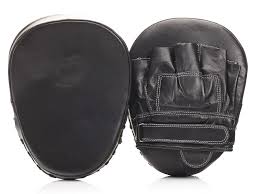 A pair of boxing pads