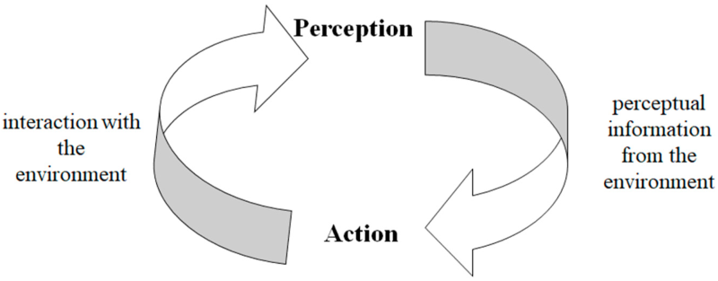 An image showing how perception is related to action.